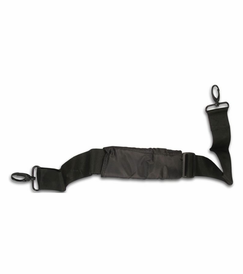 Diono straps best sale