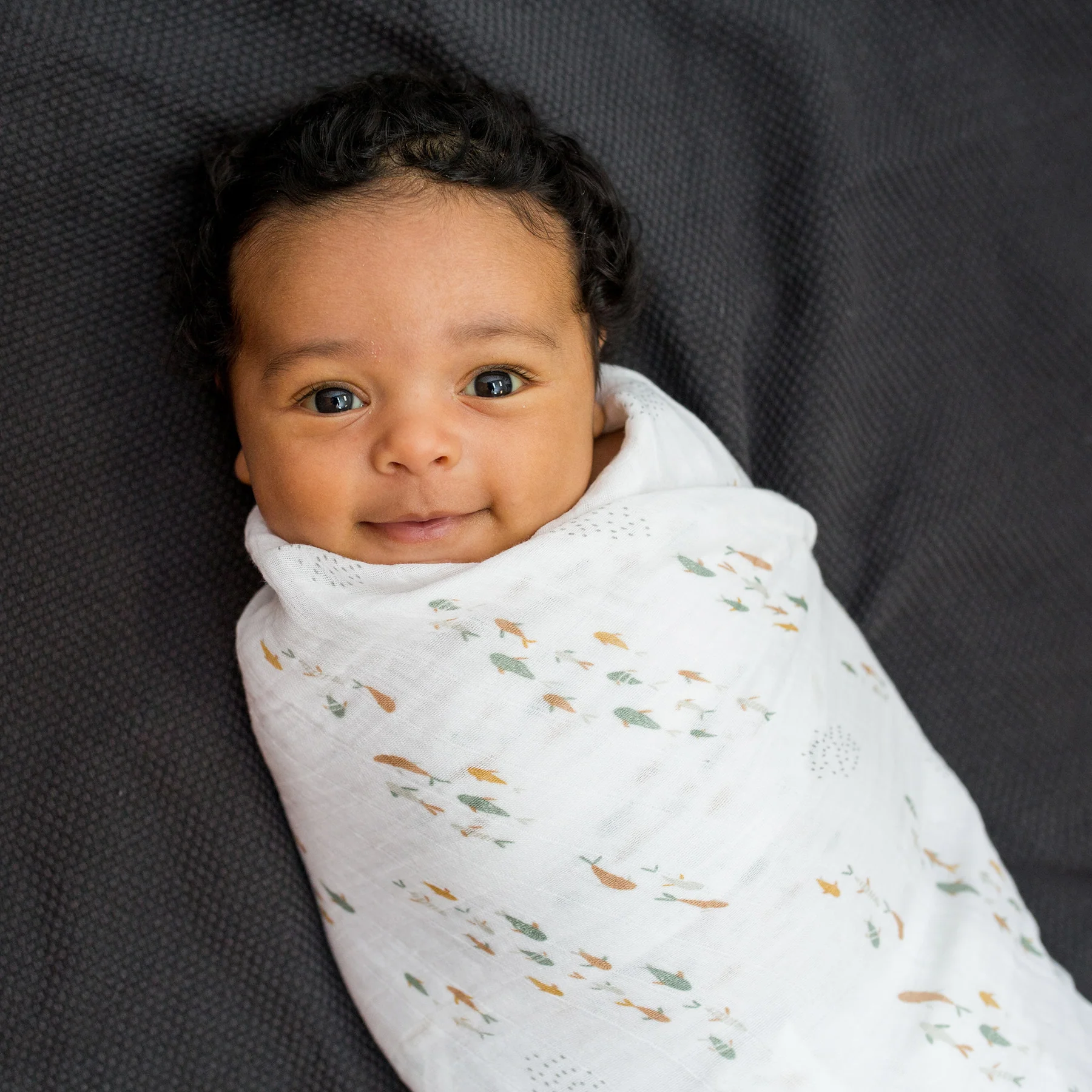 lulujo swaddle 2pk Fish + Navy Gingham4