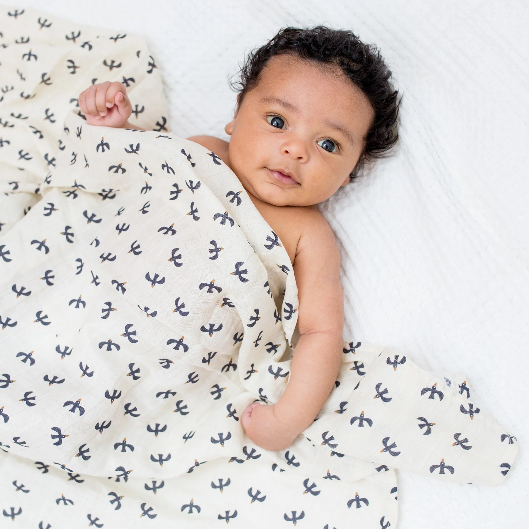lulujo swaddle 2pk Mudcloth + Black Birds4