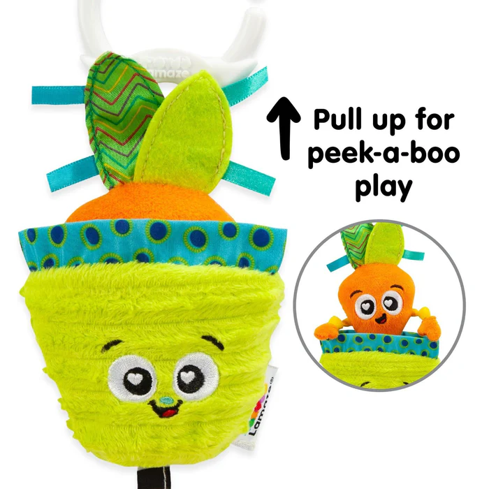 Lamaze candy the carrot2