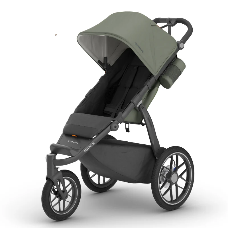 uppababy ridge v2 evelyn