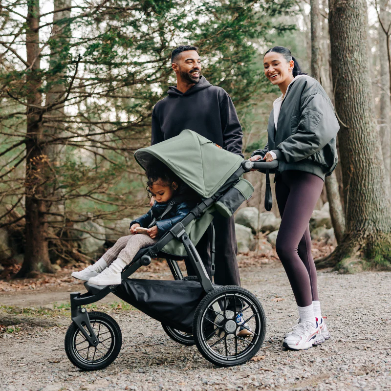 uppababy ridge v2 evelyn10