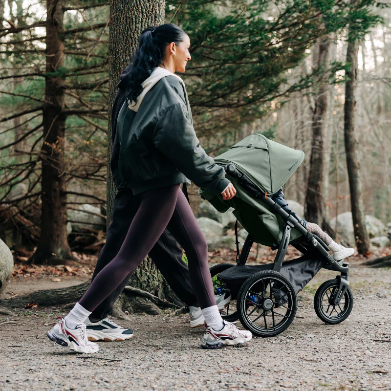 uppababy ridge v2 evelyn11