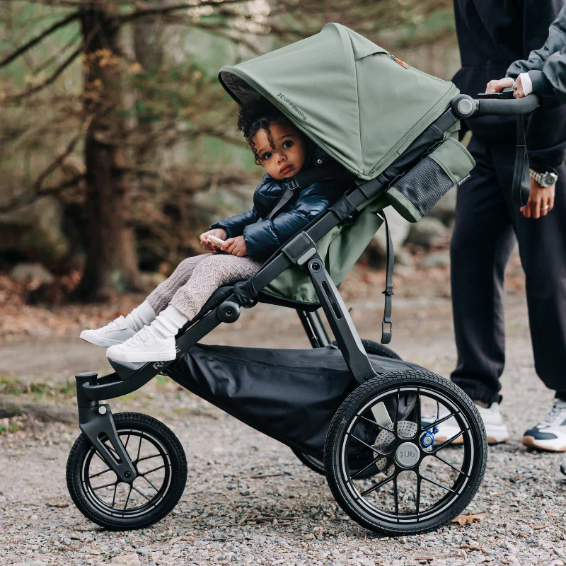 uppababy ridge v2 evelyn12