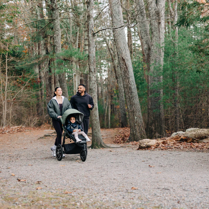 uppababy ridge v2 evelyn13