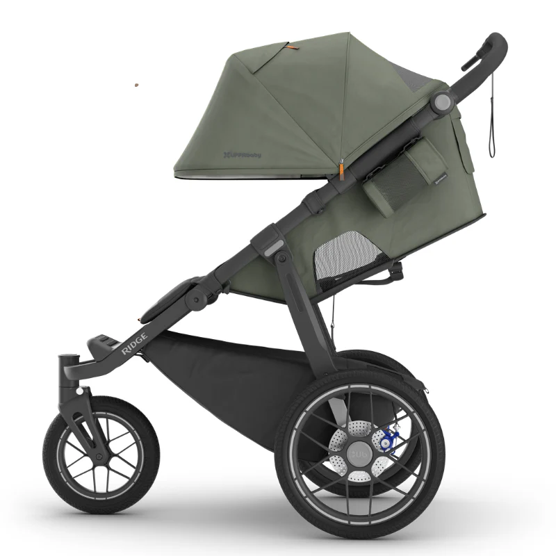 uppababy ridge v2 evelyn4