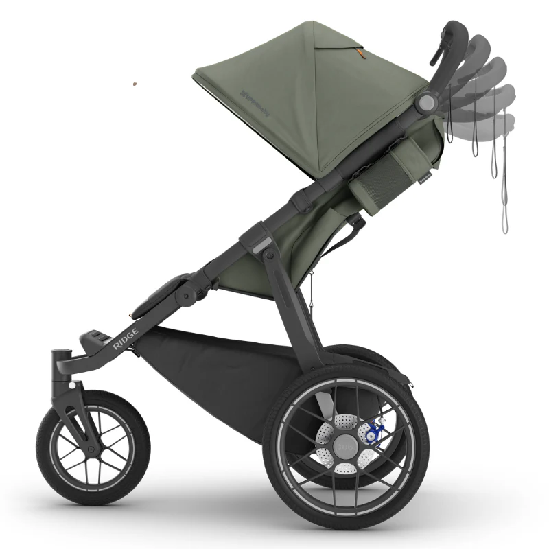 uppababy ridge v2 evelyn5