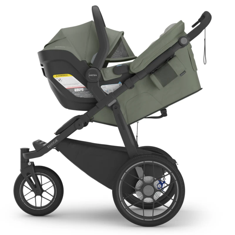 uppababy ridge v2 evelyn9